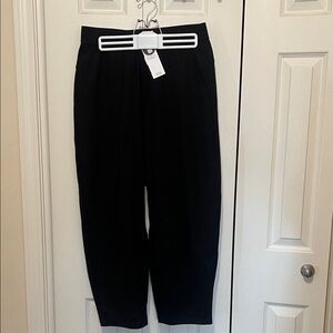 Eileen Fisher women’s  Elegant Black Dress Pants